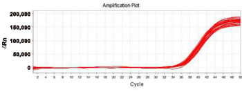 High-pressure homogenizer Test Report 6